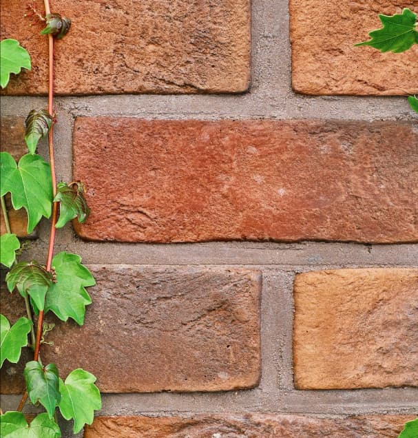 huur een steiger Snelsteiger