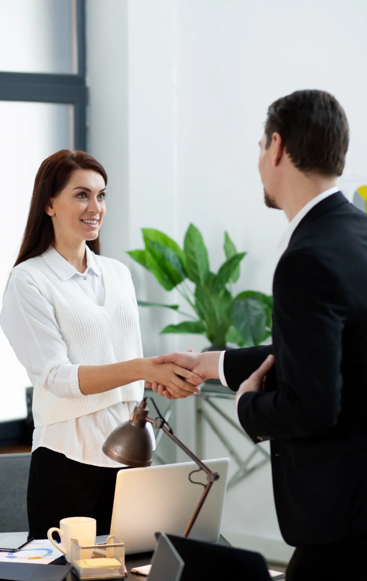 Veelgestelde vragen Snelsteiger