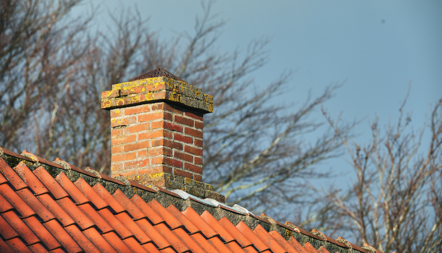 Schoorsteen reparatie en vogelnesten: Wat te doen bij beschermde diersoorten